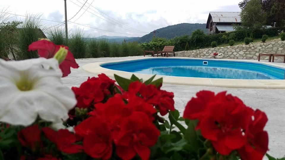 Pensiunea Casa Mircea & Restaurant Eselnita Luaran gambar