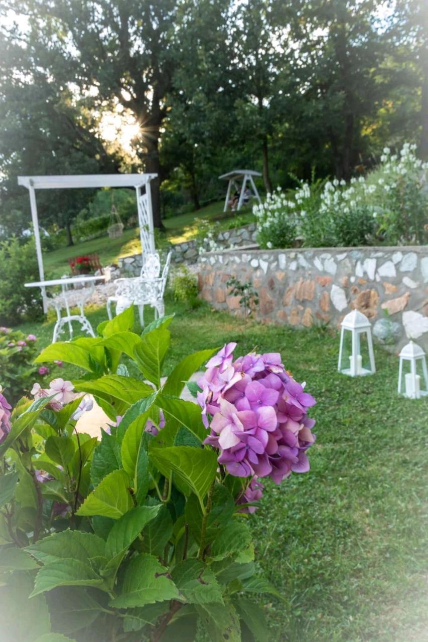 Pensiunea Casa Mircea & Restaurant Eselnita Luaran gambar