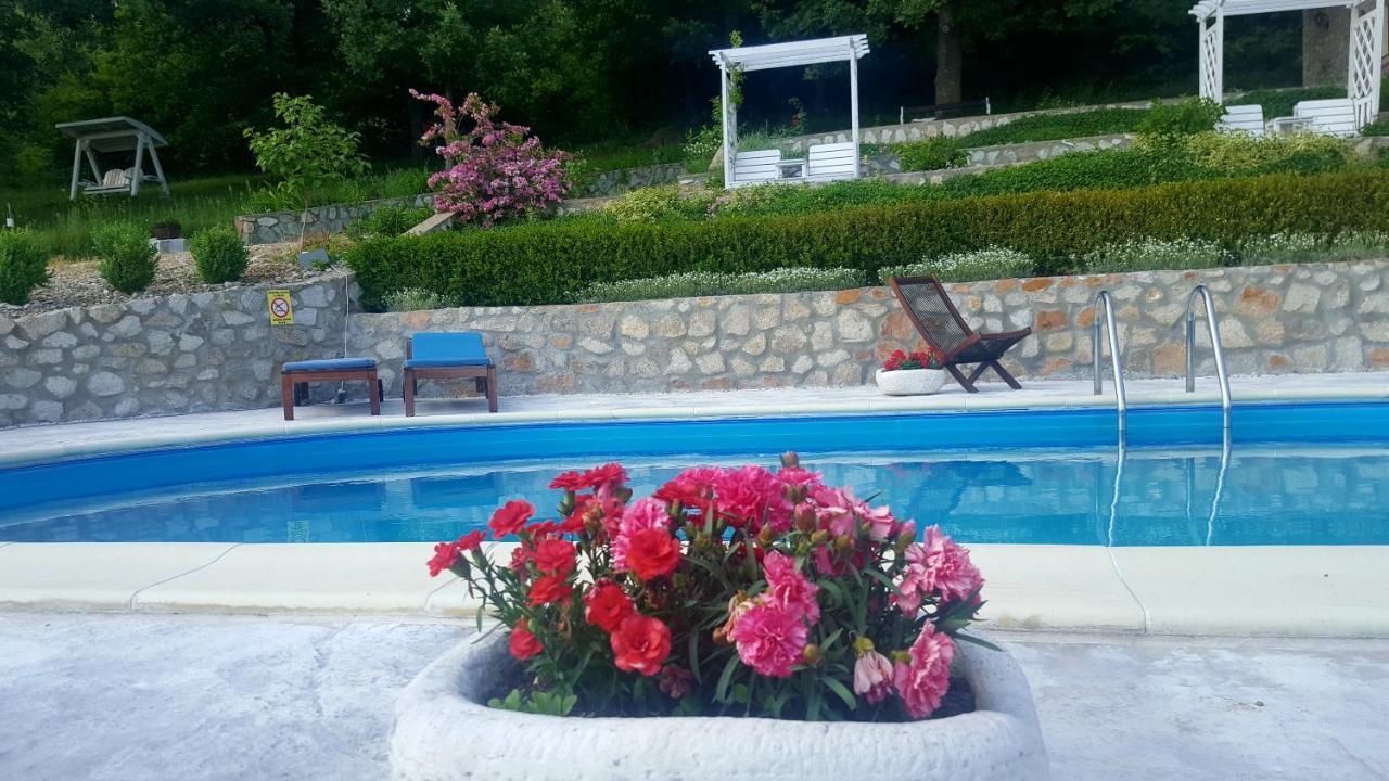 Pensiunea Casa Mircea & Restaurant Eselnita Luaran gambar
