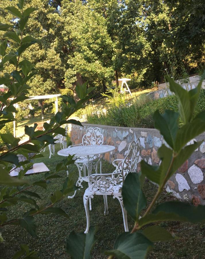 Pensiunea Casa Mircea & Restaurant Eselnita Luaran gambar